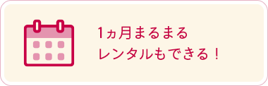 1ヵ月まるまるレンタルもできる！